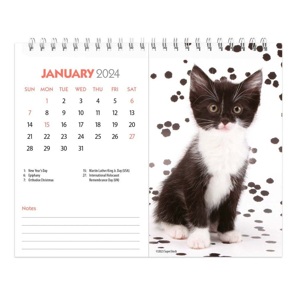 Kittens 2024 Easel Desk Calendar Second Alternate  Image width=&quot;1000&quot; height=&quot;1000&quot;