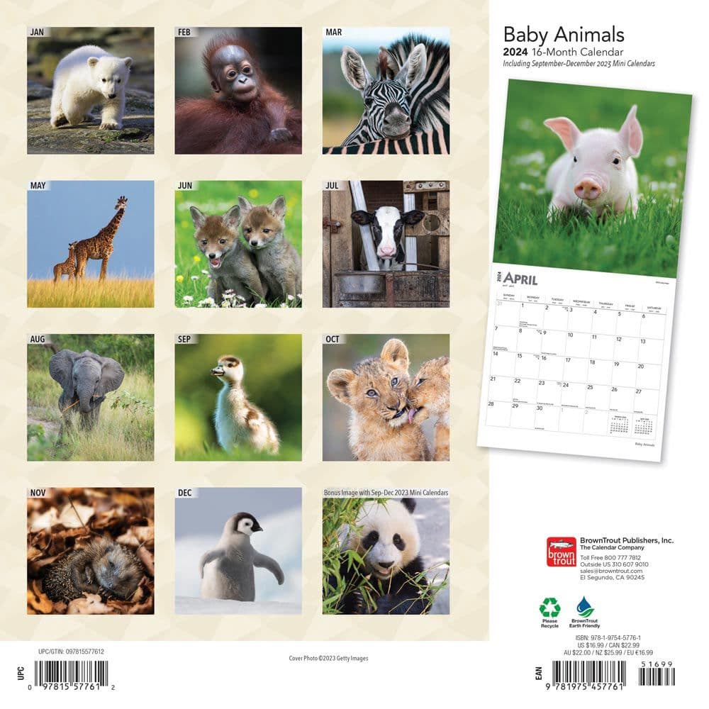 Baby Animals 2024 Wall Calendar