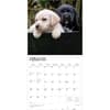 image Lab Retriever Puppies 2026 Wall Calendar