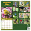 image Backyard Birds 2025 Wall Calendar back cover