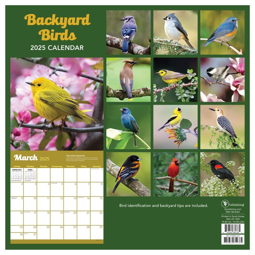 Backyard Birds 2025 Wall Calendar back cover