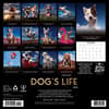 image Dogs Life 2026 Wall Calendar First Alternate Image
