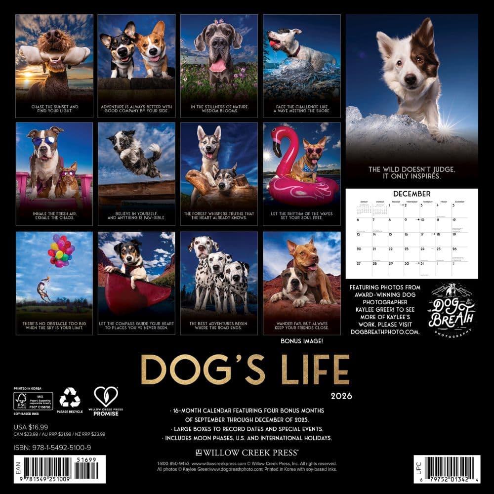 Dogs Life 2026 Wall Calendar First Alternate Image