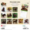 image Chocolate Lab Retriever 2027 Wall Calendar First Alternate Image