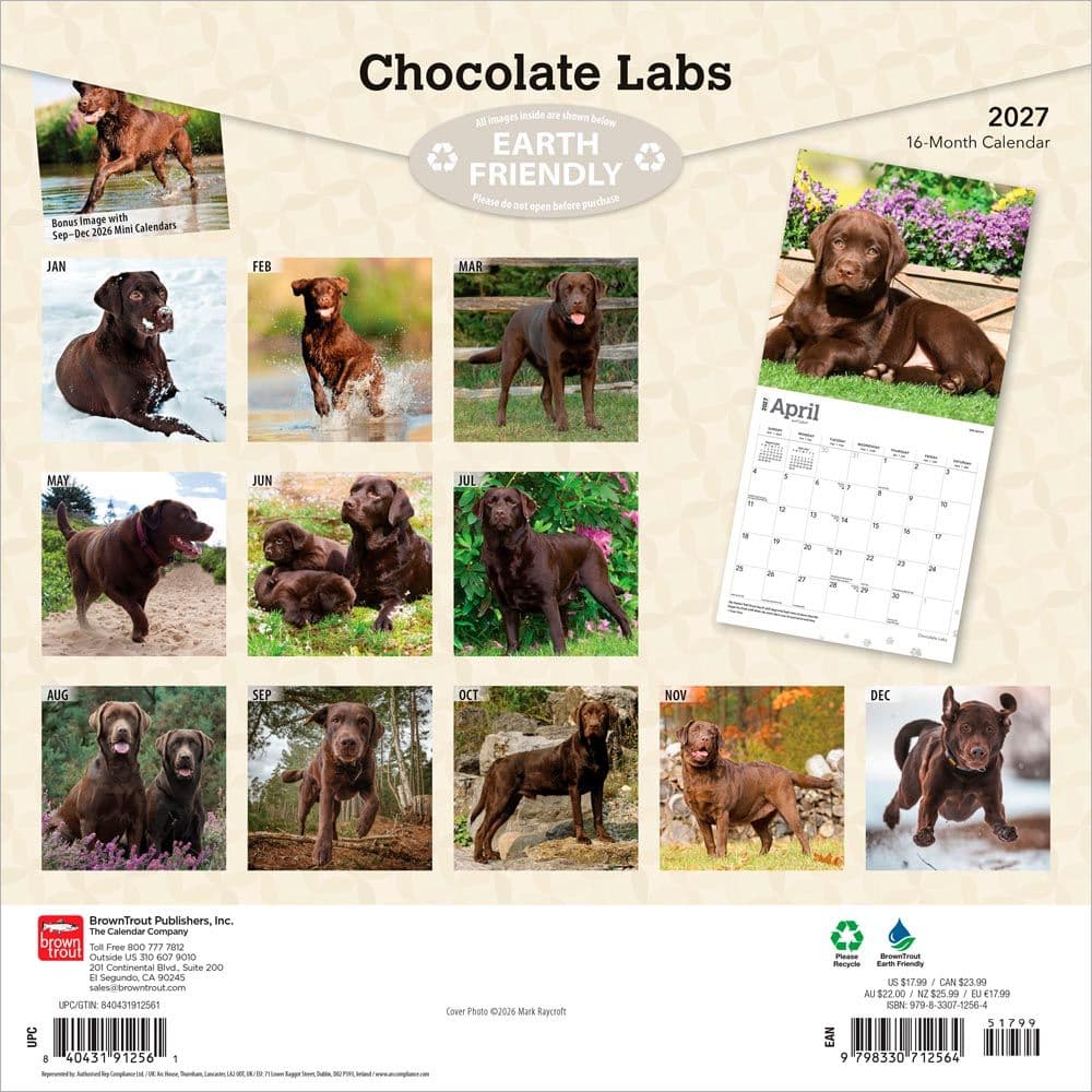 Chocolate Lab Retriever 2027 Wall Calendar First Alternate Image