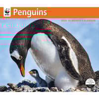 image Penguins WWF 2026 Wall Calendar Main Image