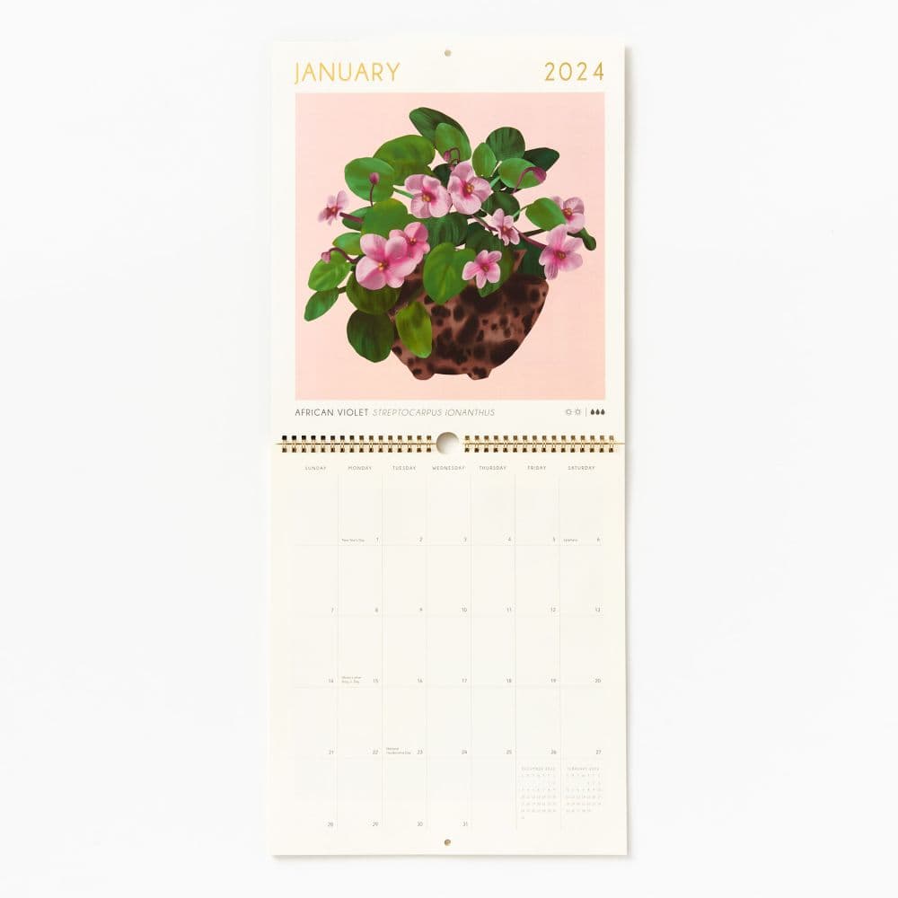 Houseplants Foil Poster 2024 Wall Calendar Calendars Com   5b2a2fe7 5f64 4451 Adcf 79a0da994d48