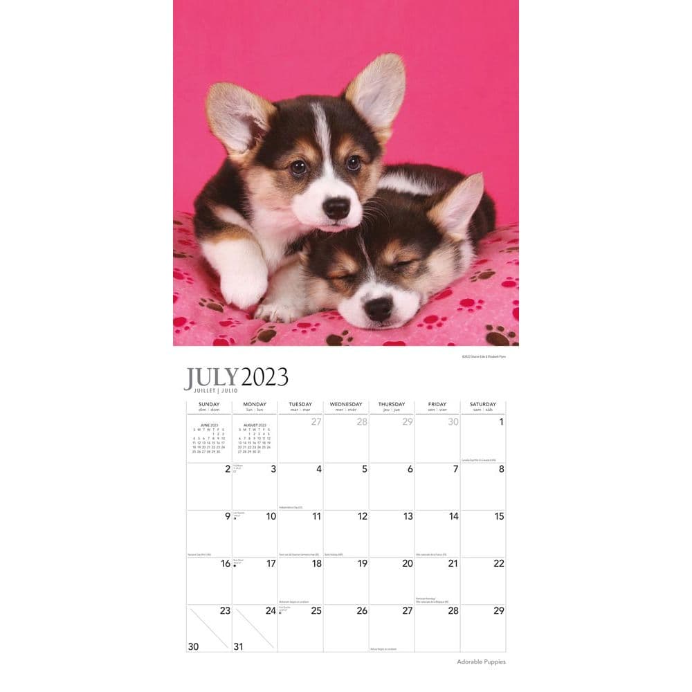 Puppies Adorable 2024 Wall Calendar Alternate Image 2