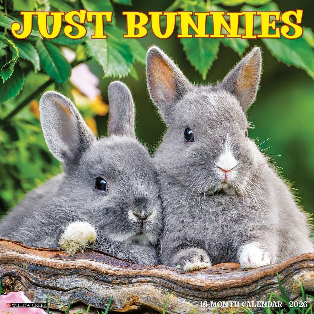 Bunnies 2026 Wall Calendar  Main Image