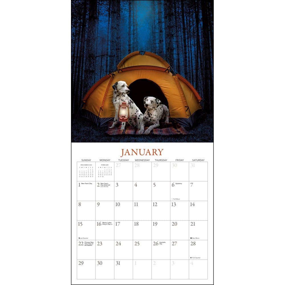 fantastical-fun-with-finlay-and-frankie-2023-wall-calendar-calendars