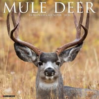 image Mule Deer 2026 Wall Calendar  Main Image