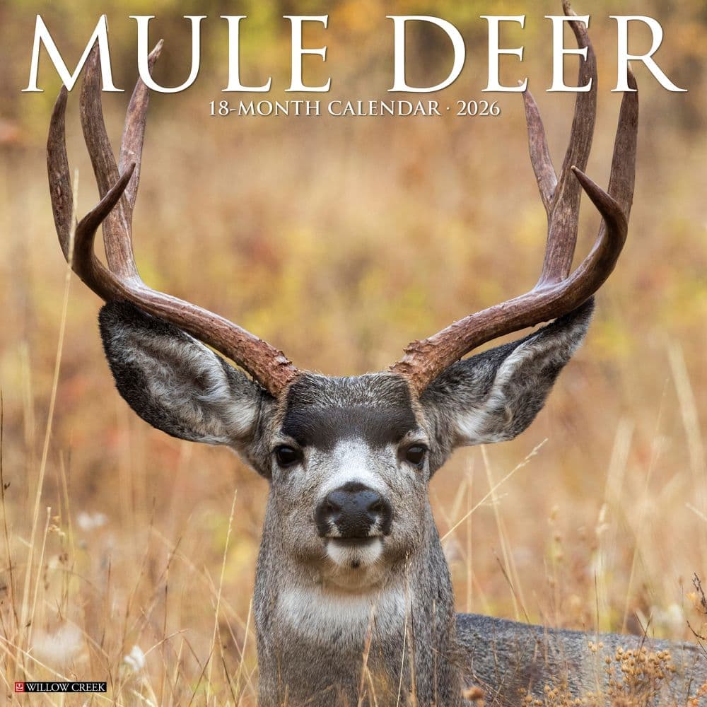 Mule Deer 2026 Wall Calendar  Main Image