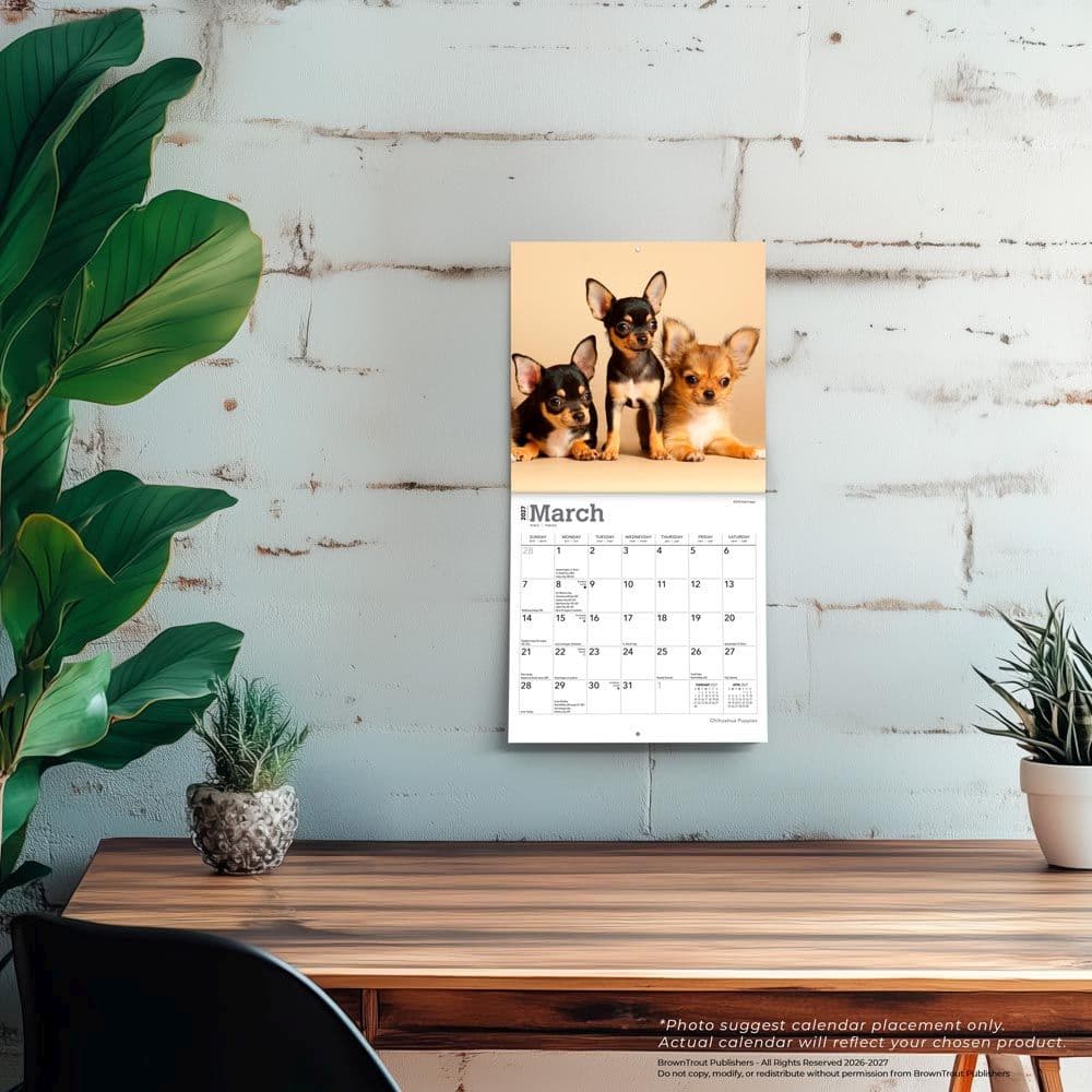 Chihuahua Puppies 2027 Mini Wall Calendar Fourth Alternate Image