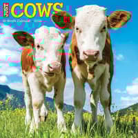 image Just Cows 2026 Wall Calendar  Main Image
