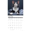 image Tuxedo Cats 2026 Wall Calendar Second Alternate Image