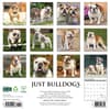 image Just Bulldogs 2025 Wall Calendar First Alternate Image width=&quot;1000&quot; height=&quot;1000&quot;