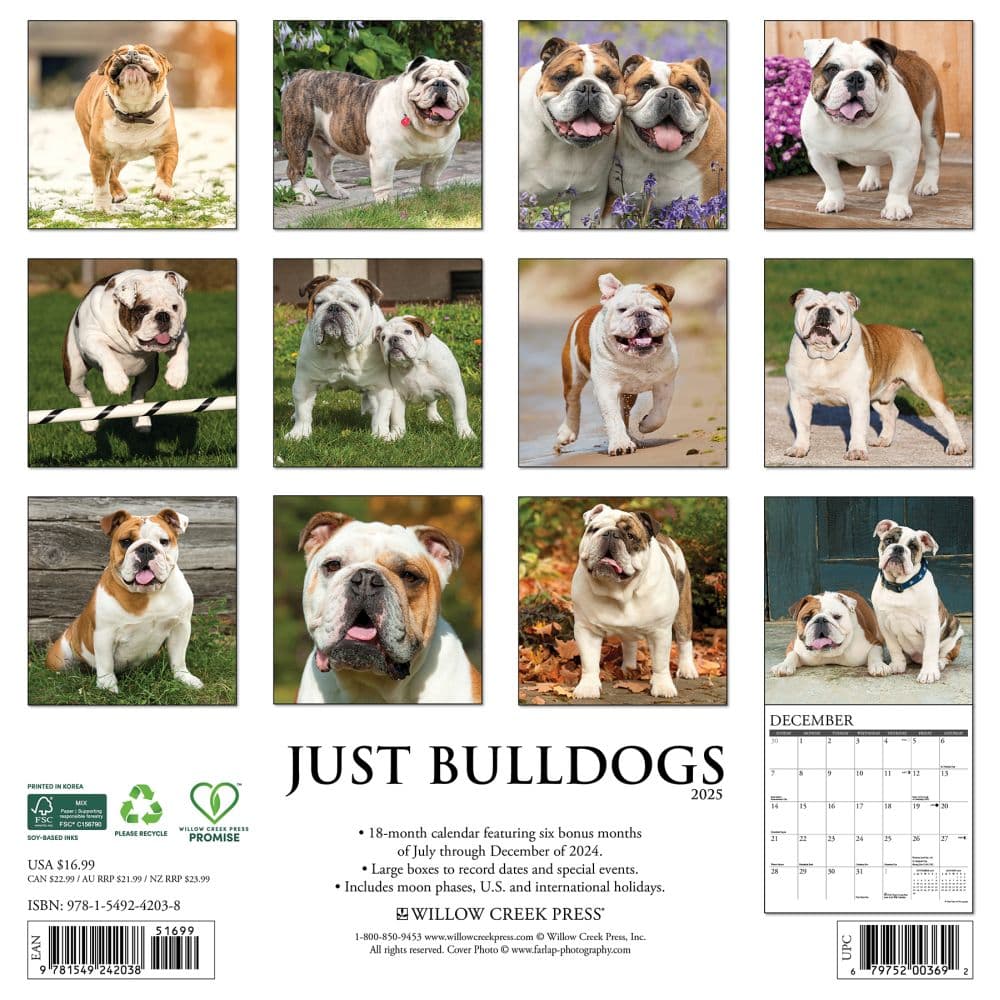 Just Bulldogs 2025 Wall Calendar First Alternate Image width=&quot;1000&quot; height=&quot;1000&quot;