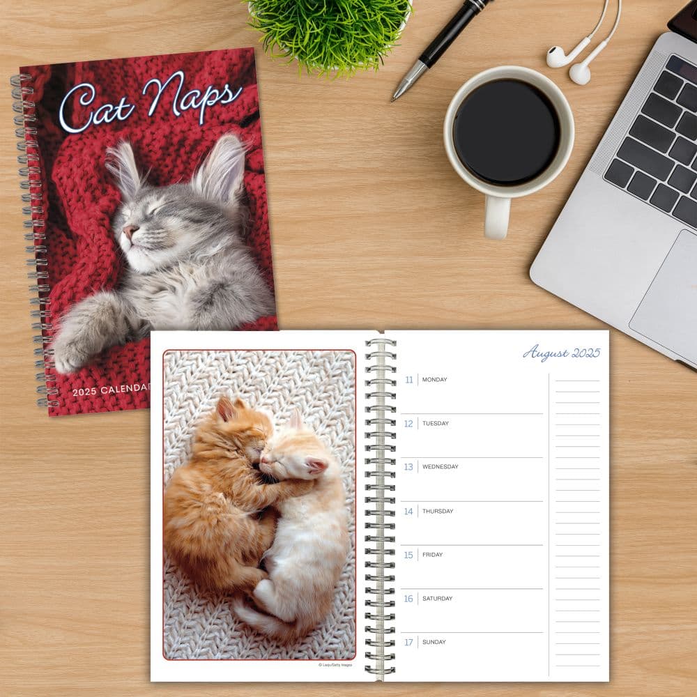 Cat Naps Classic 2025 Planner Fifth Alternate  Image width=&quot;1000&quot; height=&quot;1000&quot;