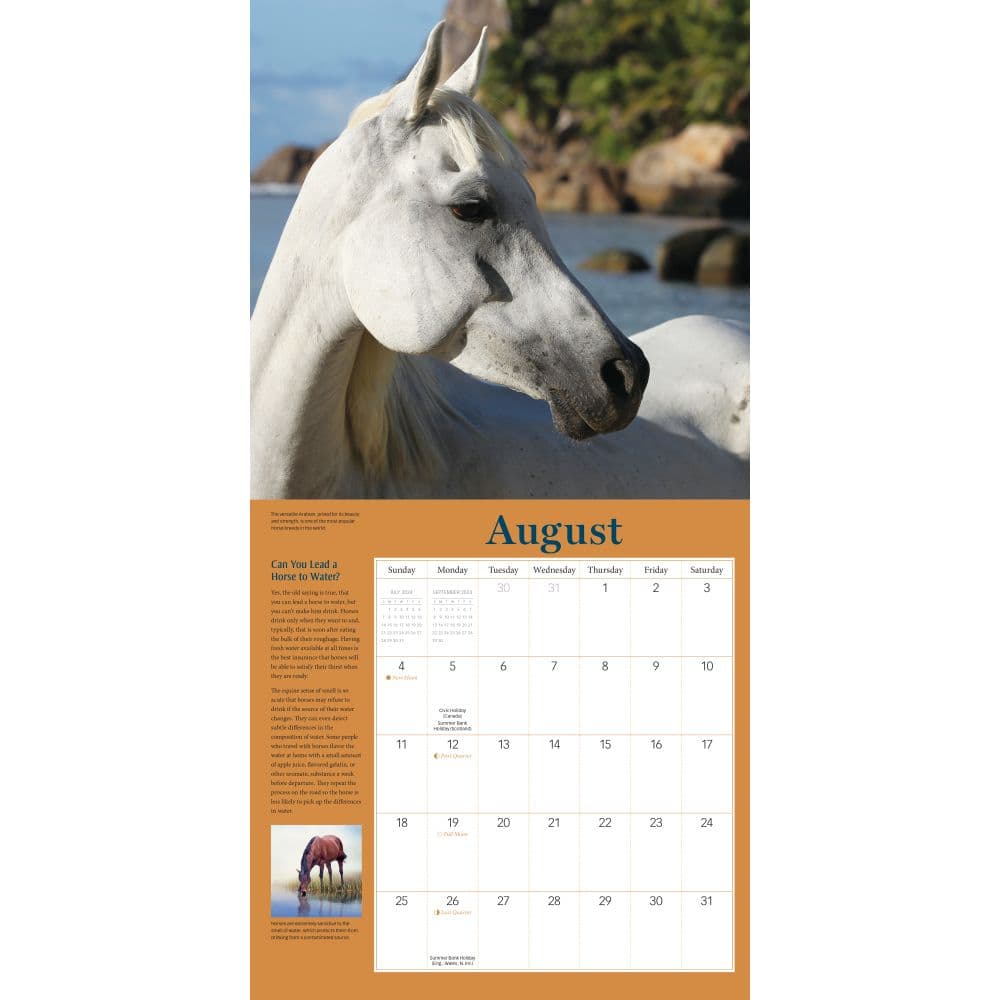 How to Think Like a Horse 2024 Wall Calendar Second Alternate Image width=&quot;1000&quot; height=&quot;1000&quot;