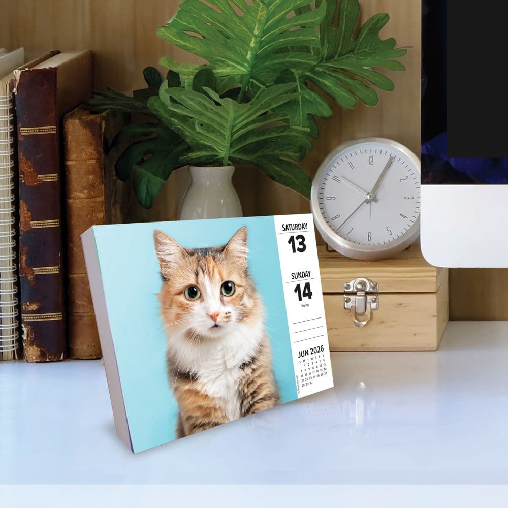 Cats 2026 Desk Calendar Second Alternate Image