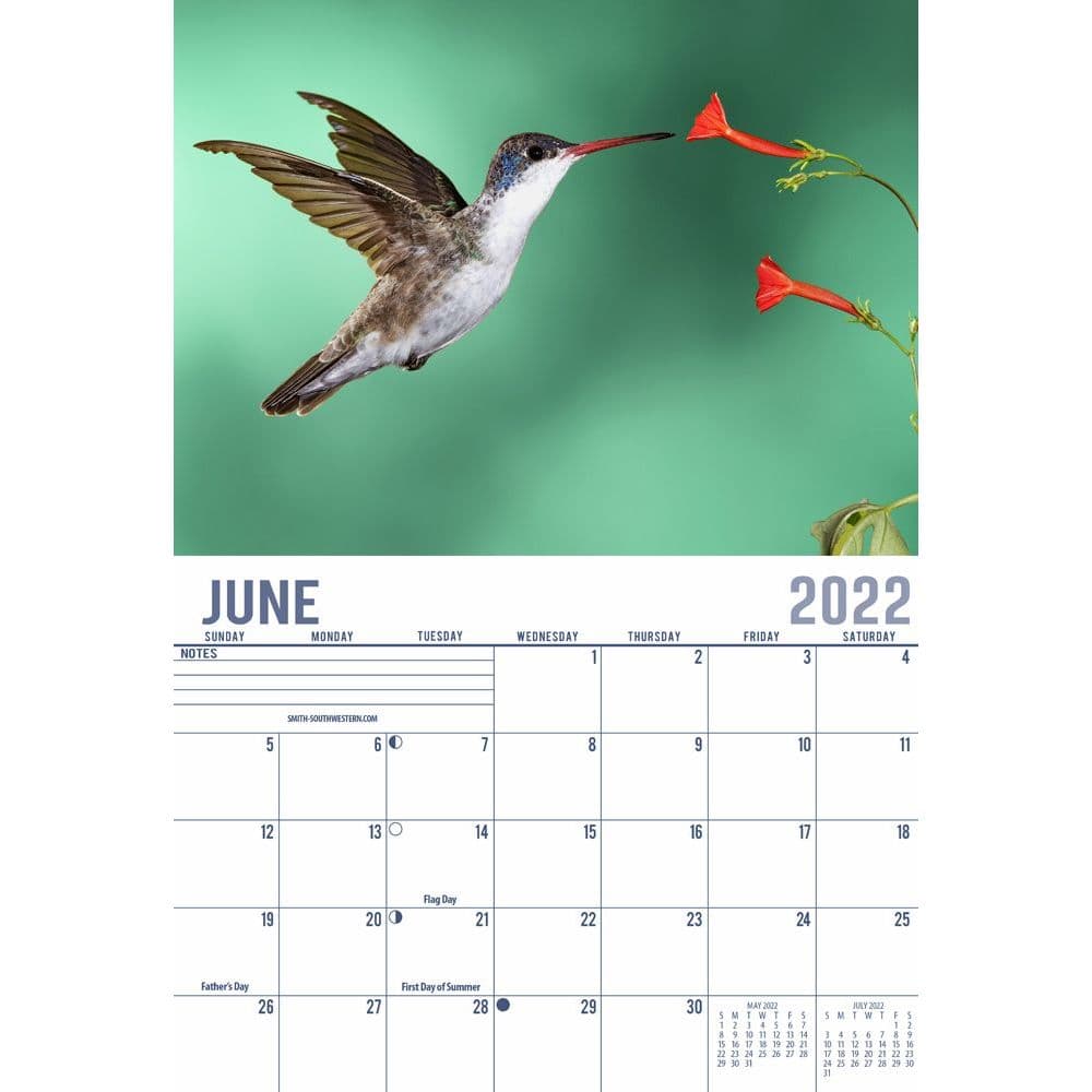 Hummingbird 2022 Wall Calendar - Calendars.com