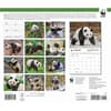 image Giant Pandas WWF 2026 Wall Calendar First Alternate Image