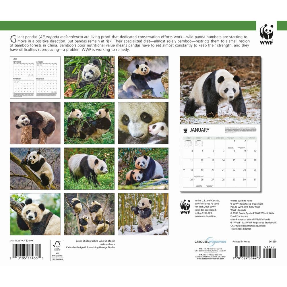 Giant Pandas WWF 2026 Wall Calendar First Alternate Image