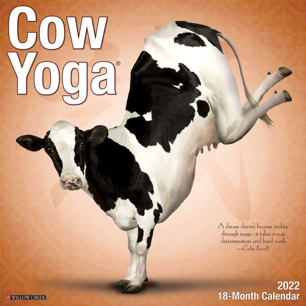 2022 Cow Calendar Cow Yoga 2022 Wall Calendar - Calendars.com
