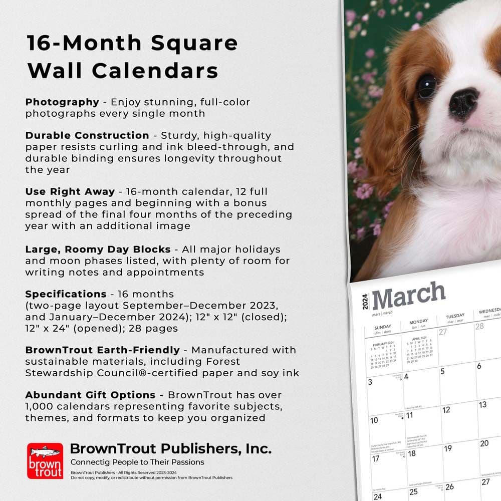 Cavalier King Charles Puppies 2024 Wall Calendar Fourth Alternate Image width=&quot;1000&quot; height=&quot;1000&quot;