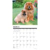 image Chow Chows 2025 Wall Calendar Second Alternate Image width=&quot;1000&quot; height=&quot;1000&quot;