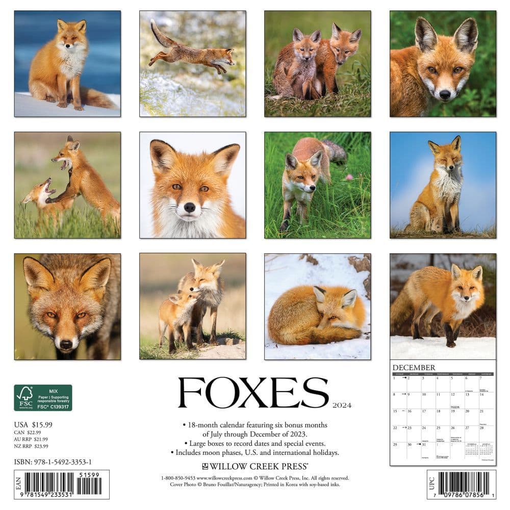 Foxes 2024 Wall Calendar