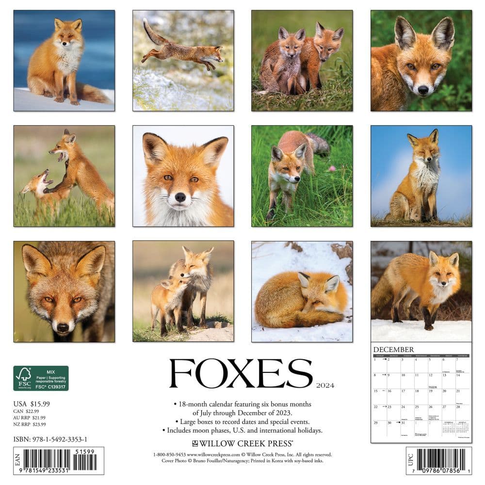 Foxes 2024 Wall Calendar Calendars Com   5ba667a5 4079 4e1d B0d7 F8818973f613