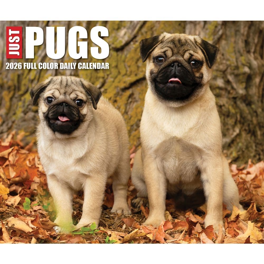 Just Pugs 2026 Desk Calendar Fourth Alternate Image