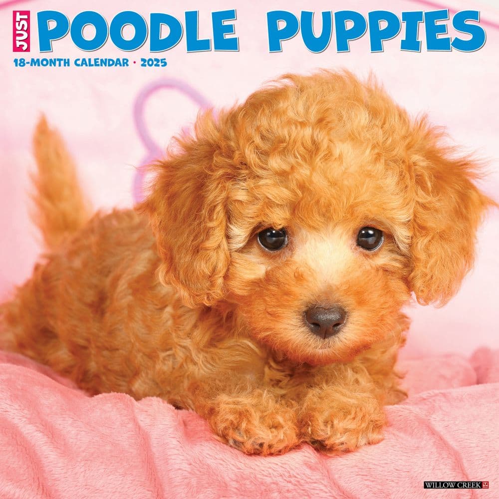 Just Poodle Puppies 2025 Wall Calendar