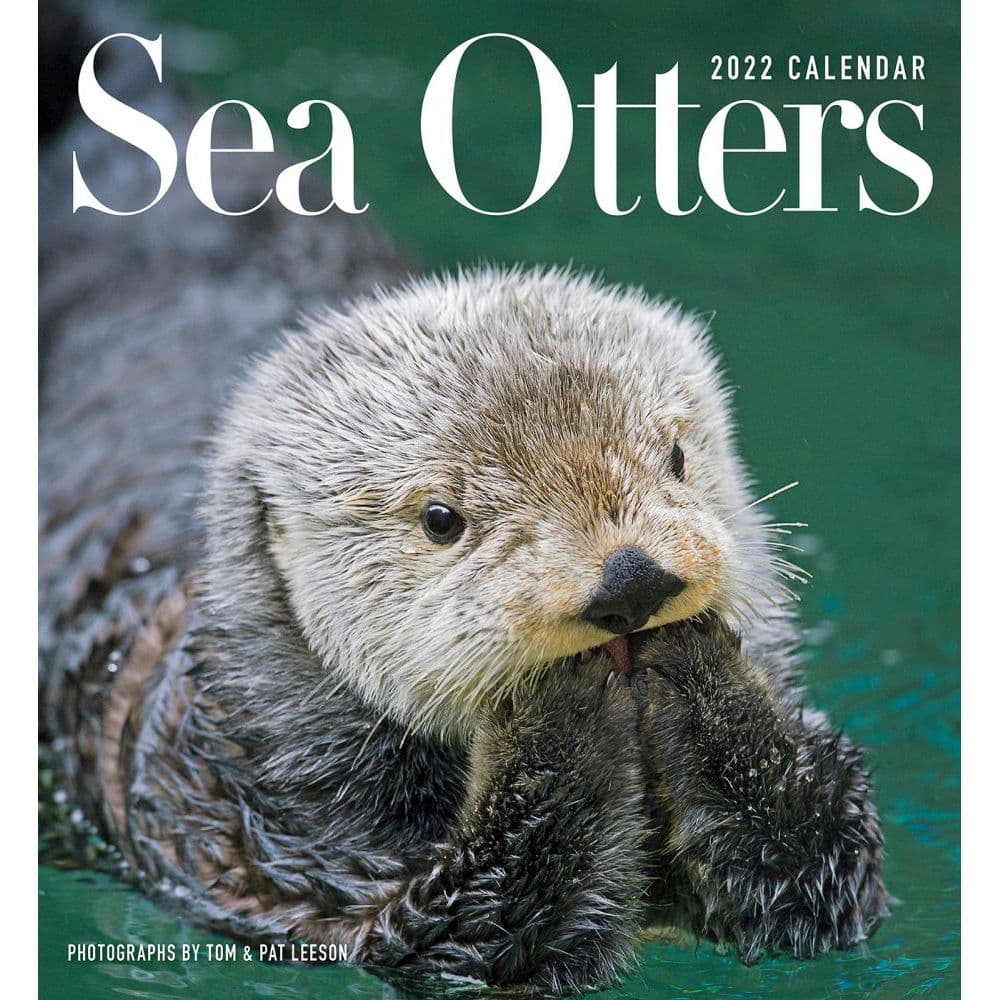 Otter Calendar 2022 Sea Otters 2022 Wall Calendar - Calendars.com