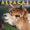 image Alpacas 2025 Wall Calendar Main Image