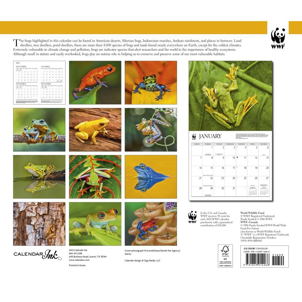 Frogs WWF 2024 Calendar