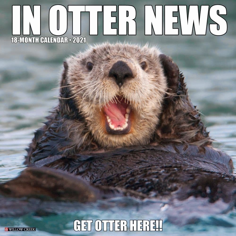 In Otter News Wall Calendar Calendars