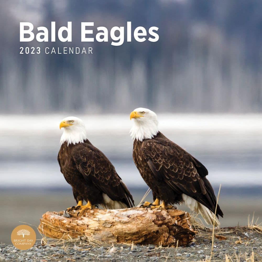 Bald Eagles 2023 Wall Calendar Calendars For All