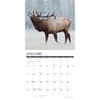 image Elk Bull 2026 Wall Calendar Second Alternate Image