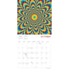 image Optical Illusions 2025 Wall Calendar Third Alternate Image