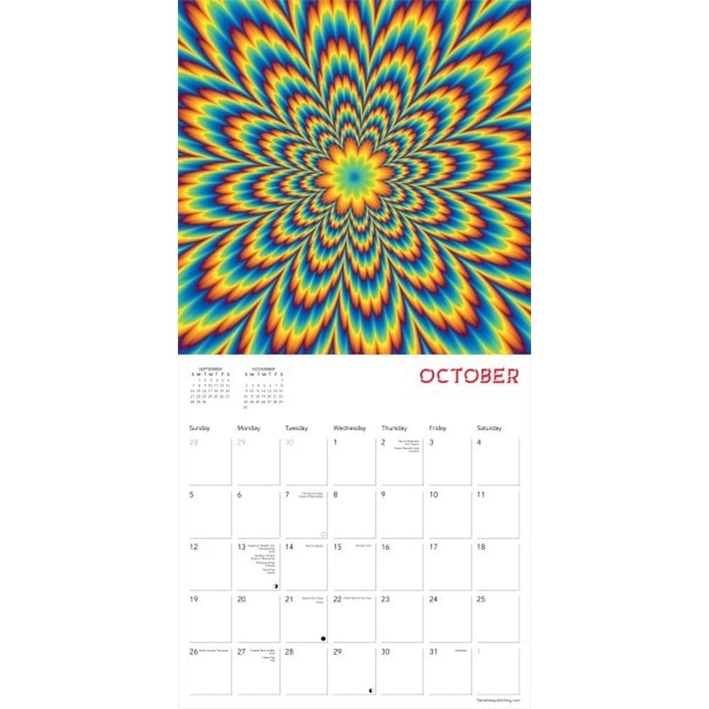 Optical Illusions 2025 Wall Calendar Third Alternate Image