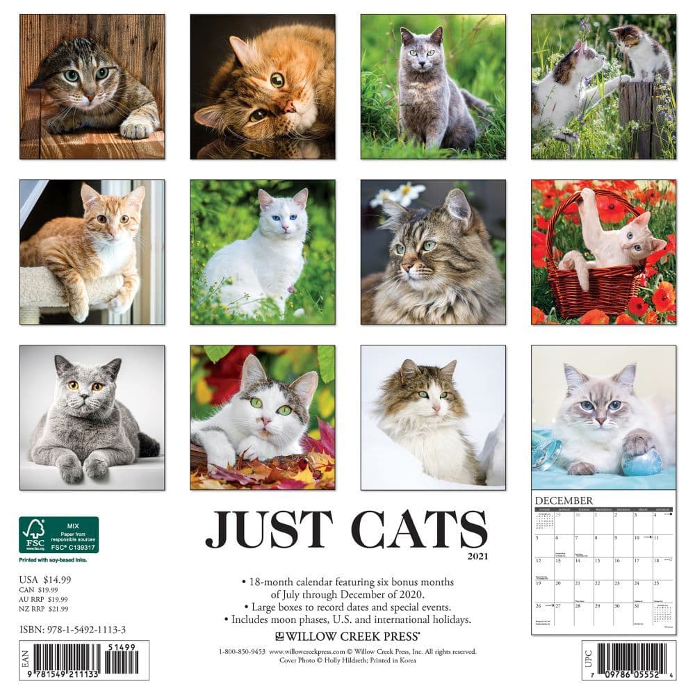 Cats Wall Calendar - Calendars.com