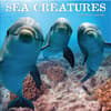 image Sea Creatures 2025 Wall Calendar_Main Image