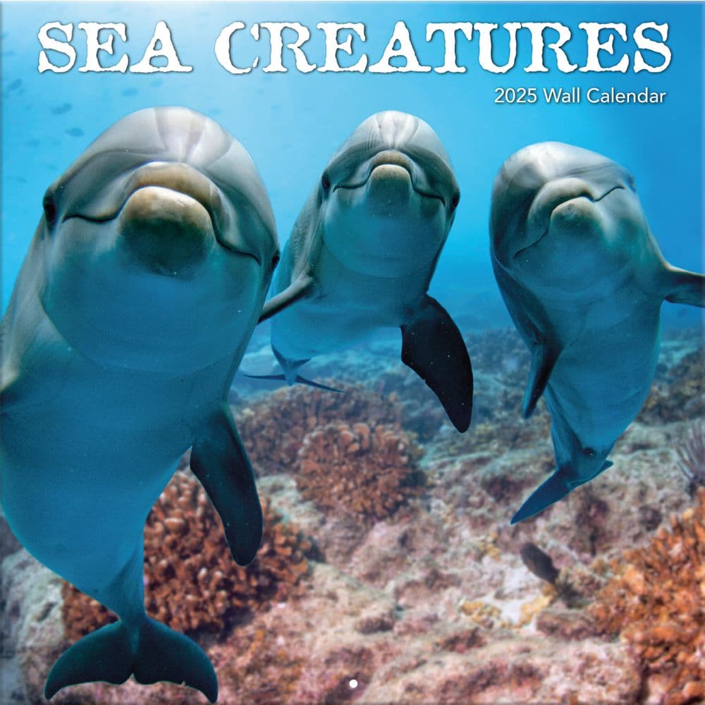 Sea Creatures 2025 Wall Calendar_Main Image