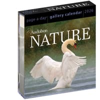 image Audubon Nature Gallery 2026 Desk Calendar Main Product Image