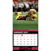 image NFL Mascots 2027 Wall Calendar Third Alternate Image