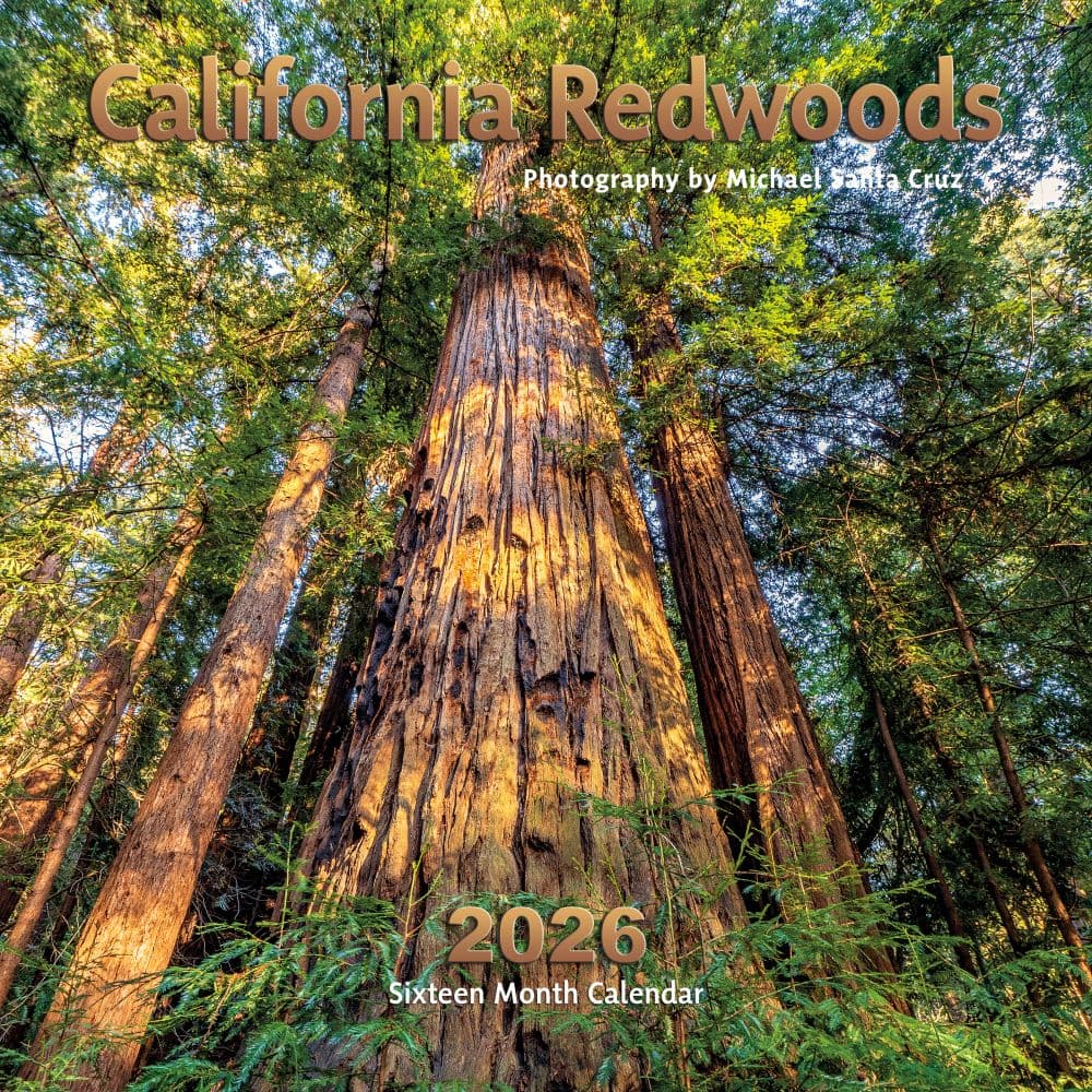 California Redwoods 2026 Wall Calendar Main Image