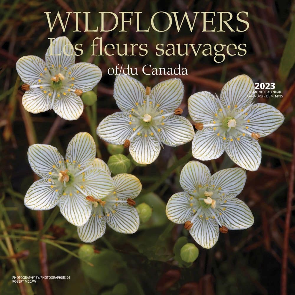 Calendrier Beaute 2023 Wildflowers 2023 Wall Calendar - Calendars.com