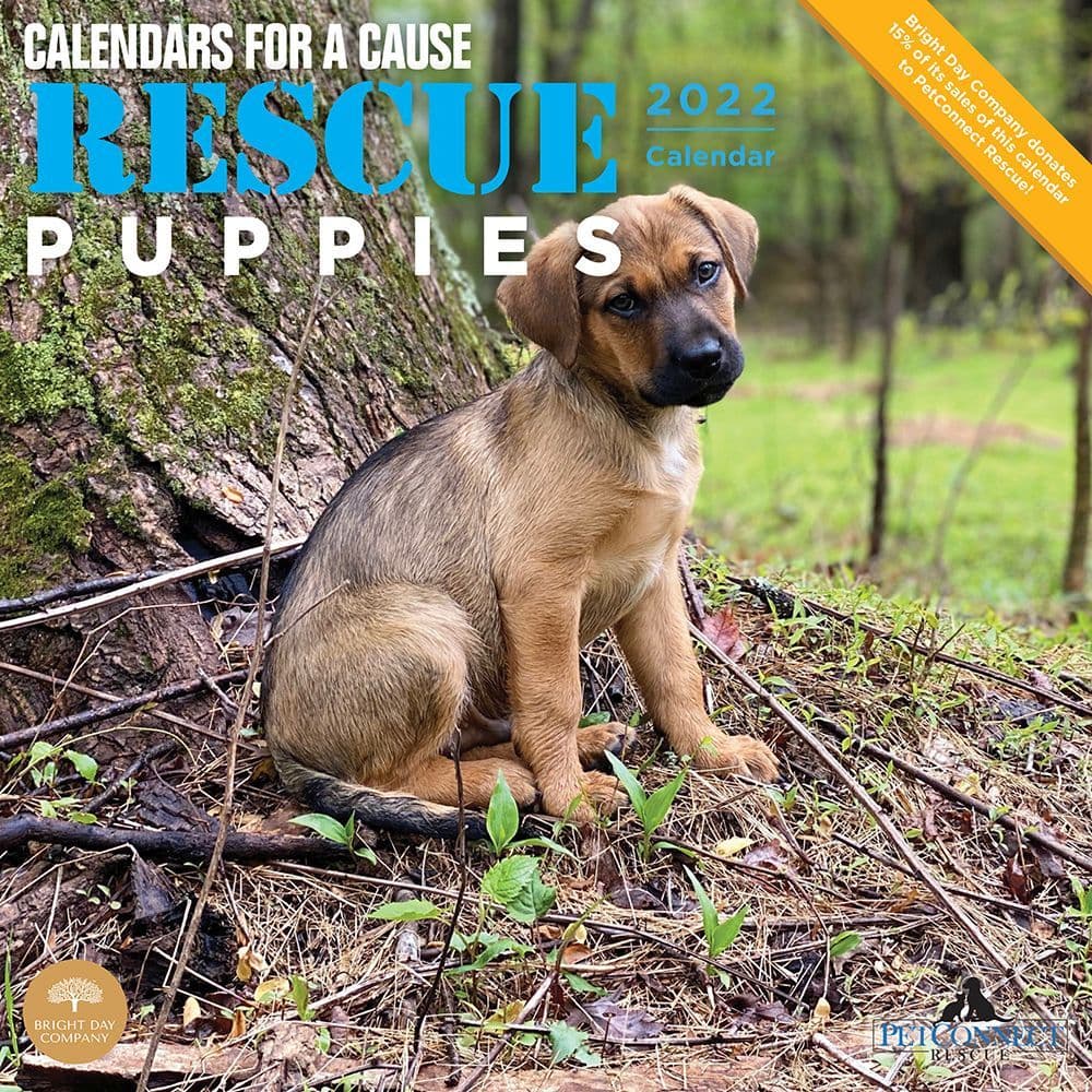 Rescue Puppies 2022 Wall Calendar